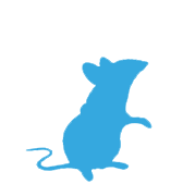 pictogramme dératisation